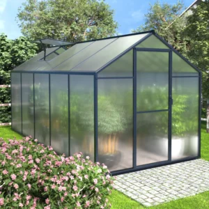 Read more about the article ONLY $350! Greenhouse Multiple Sizes